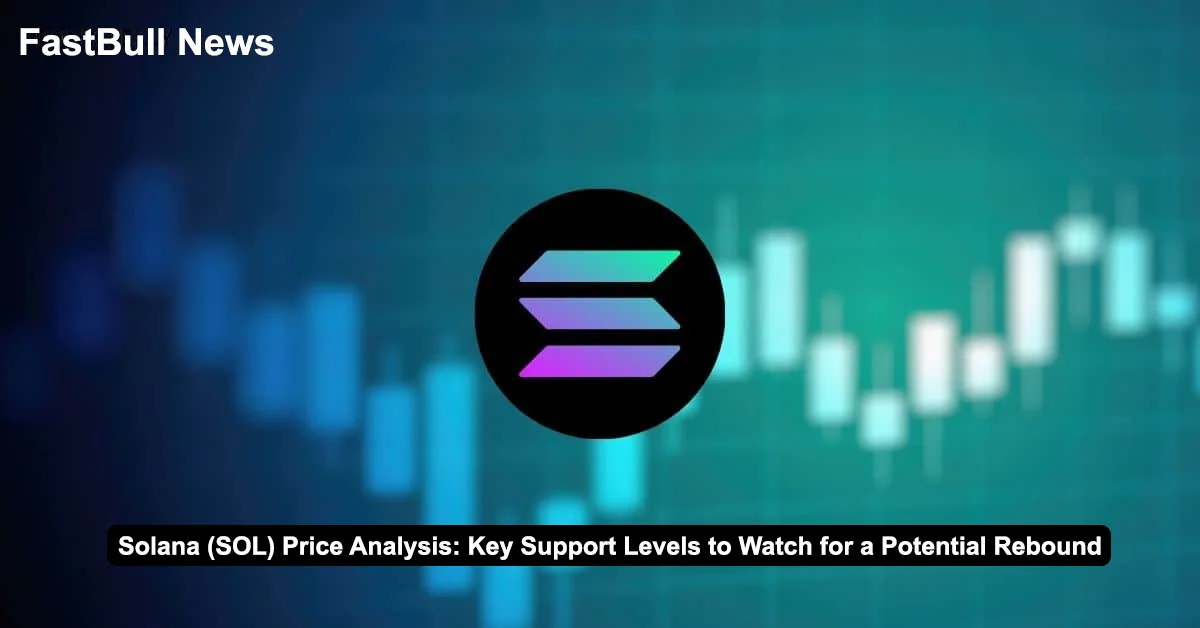 Solana (SOL) Price Analysis Key Support Levels to Watch for a Potential Rebound